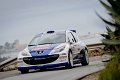 1 Peugeot 207 S2000 P.Andreucci - A.Andreussi (36)